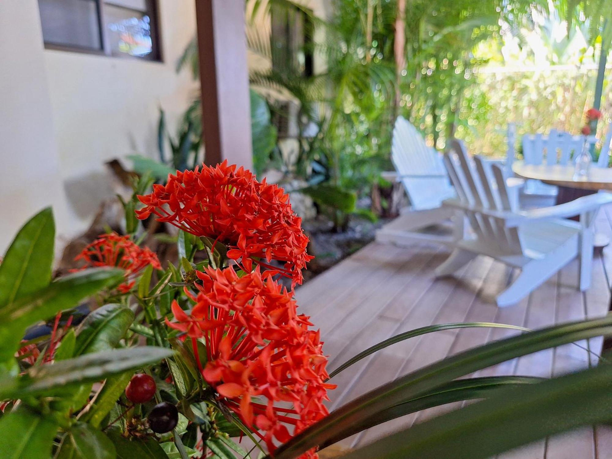 Infiniti Hotel Puerto Viejo de Talamanca Extérieur photo